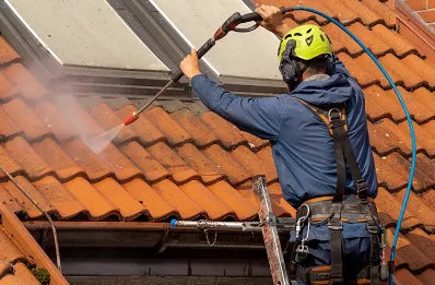 Démoussage et hydrofuge de toiture à Arbonne-la-Forêt